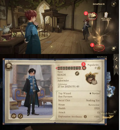 Harry Potter:Magic Awakened